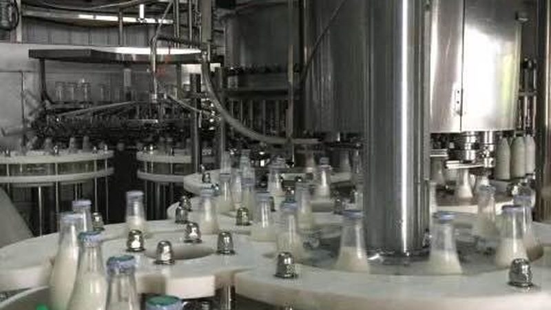 油炸机规格参数说明书