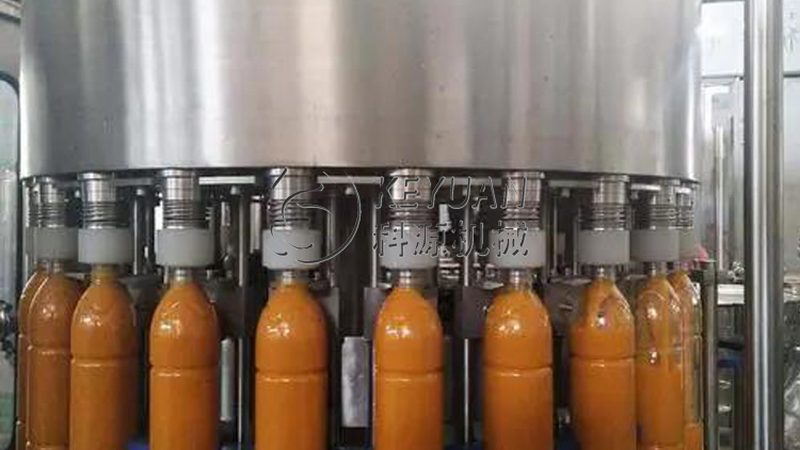 揭秘不锈钢面条机：十大品牌背后的技术秘密
